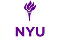 New York University School of Law